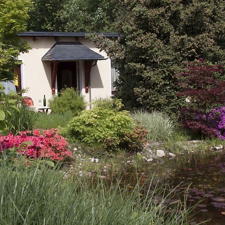 Ferienhaus Und Ferienwohnung "Am Waldsaum" Gohrisch Kültér fotó