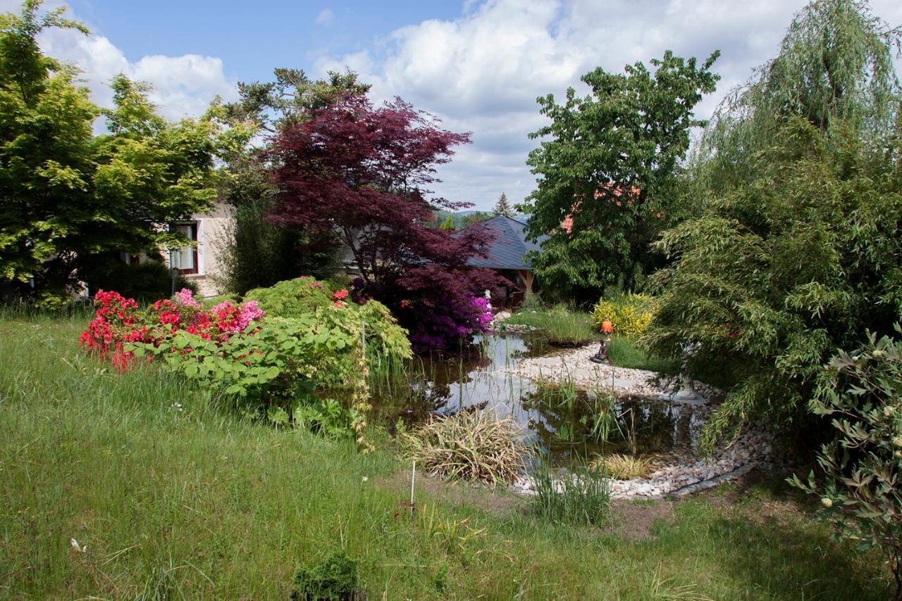 Ferienhaus Und Ferienwohnung "Am Waldsaum" Gohrisch Kültér fotó