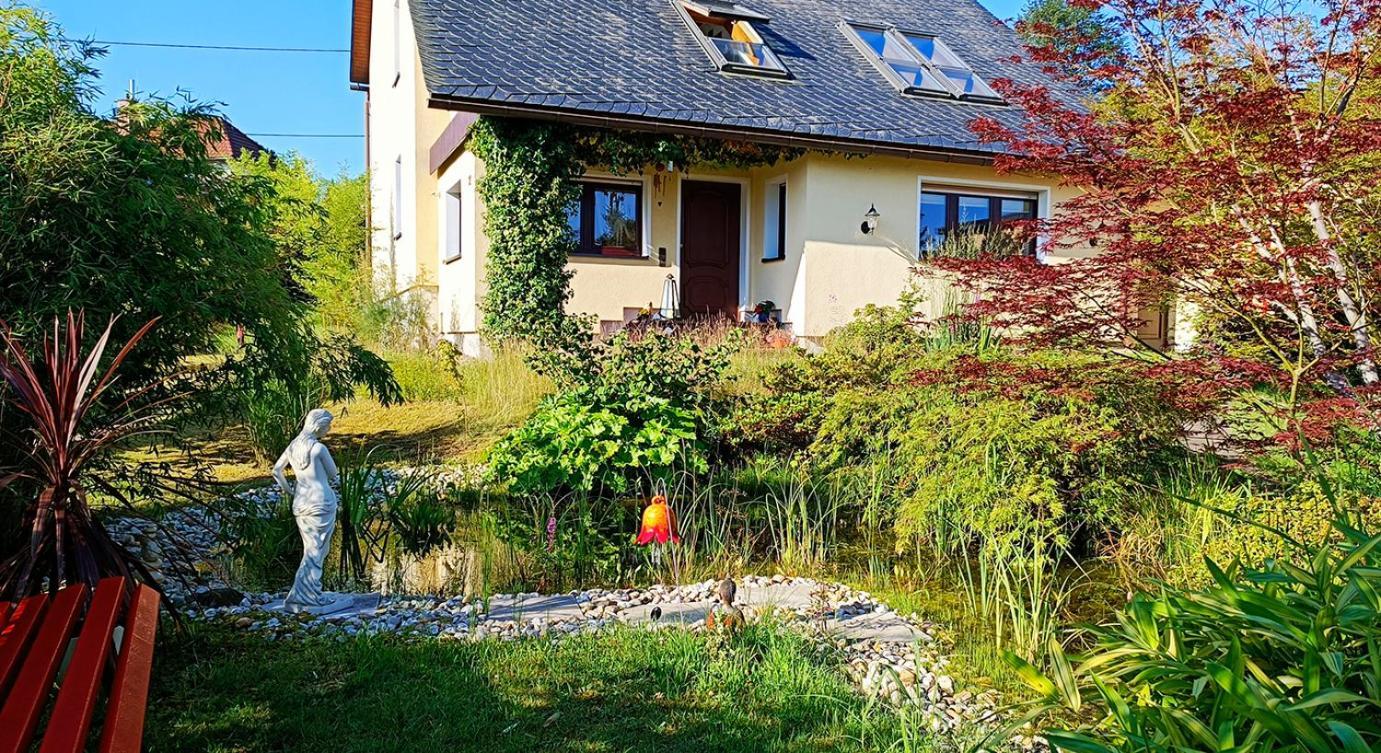 Ferienhaus Und Ferienwohnung "Am Waldsaum" Gohrisch Kültér fotó