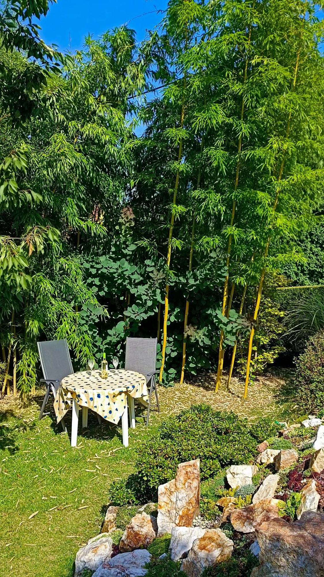 Ferienhaus Und Ferienwohnung "Am Waldsaum" Gohrisch Kültér fotó