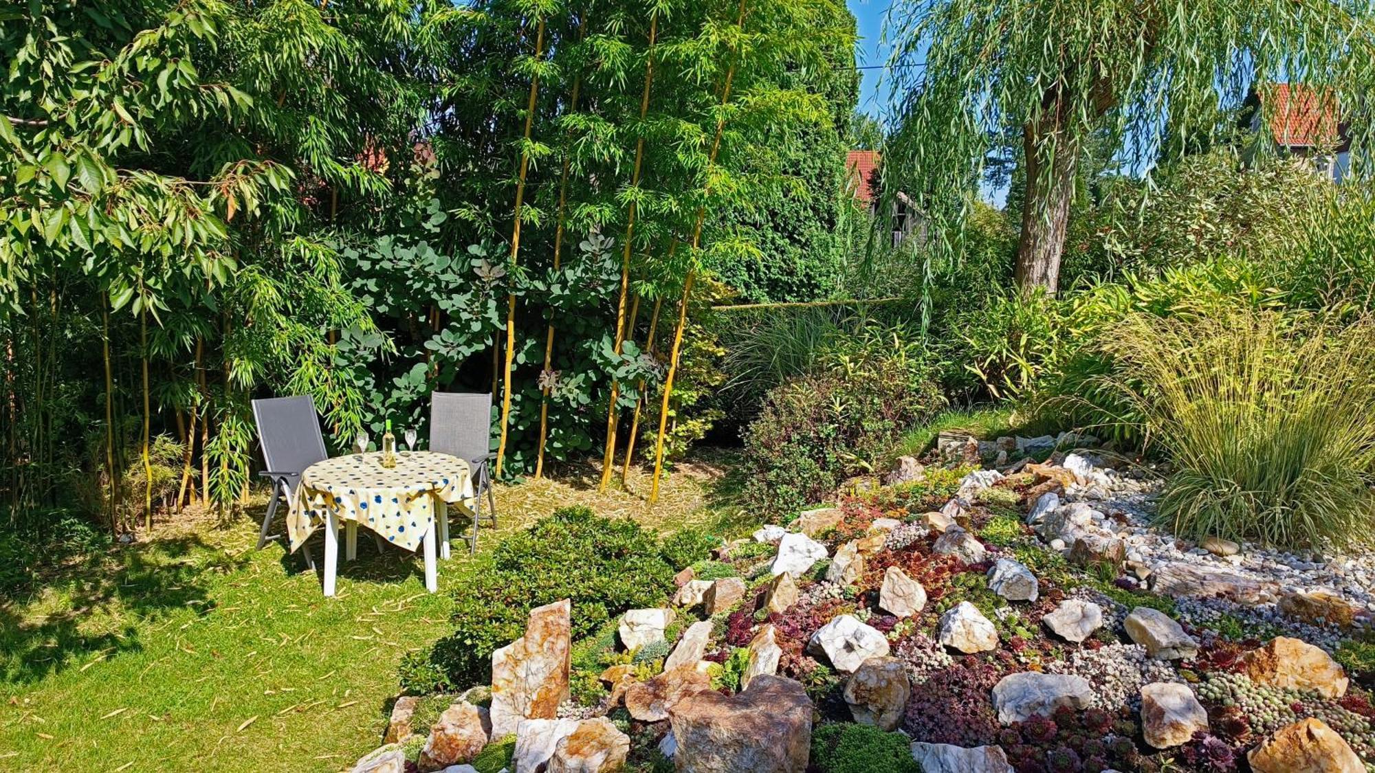 Ferienhaus Und Ferienwohnung "Am Waldsaum" Gohrisch Kültér fotó