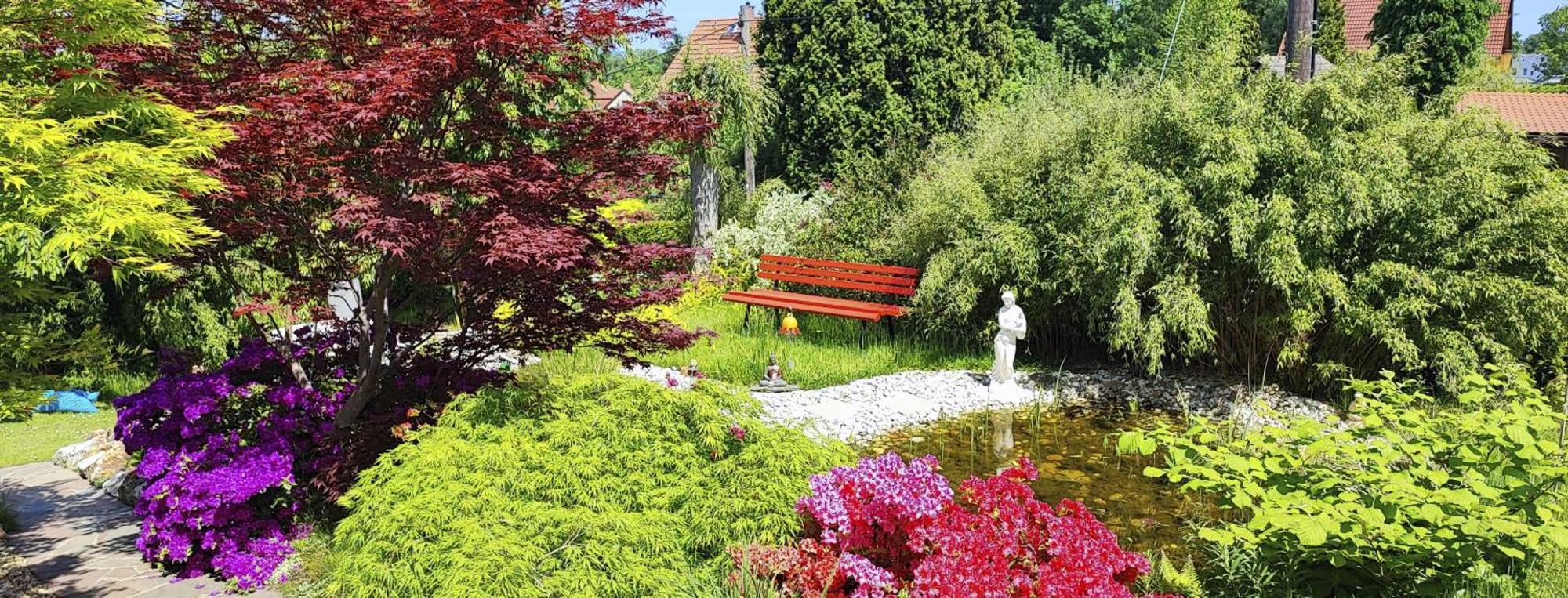 Ferienhaus Und Ferienwohnung "Am Waldsaum" Gohrisch Kültér fotó