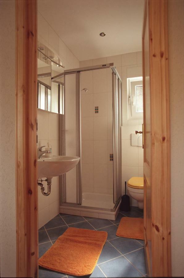 Ferienhaus Und Ferienwohnung "Am Waldsaum" Gohrisch Kültér fotó