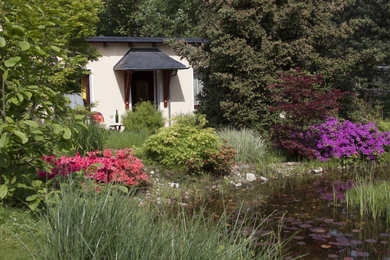 Ferienhaus Und Ferienwohnung "Am Waldsaum" Gohrisch Kültér fotó