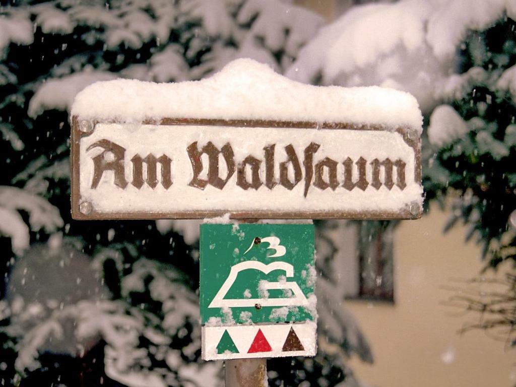 Ferienhaus Und Ferienwohnung "Am Waldsaum" Gohrisch Kültér fotó