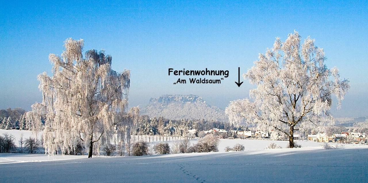 Ferienhaus Und Ferienwohnung "Am Waldsaum" Gohrisch Kültér fotó