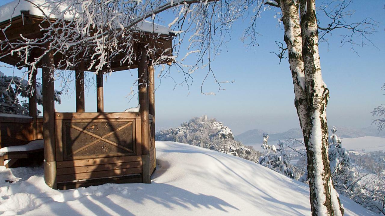 Ferienhaus Und Ferienwohnung "Am Waldsaum" Gohrisch Kültér fotó